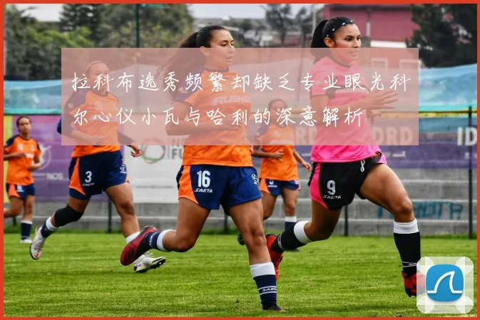 拉科布选秀频繁却缺乏专业眼光科尔心仪小瓦与哈利的深意解析